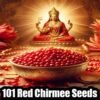 Unlock Wealth with 101 Red Chirmee Seeds Today