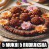 5 Mukhi Rudraksha Enhances Wisdom & Protection