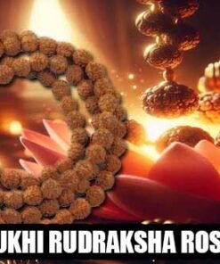 Rudraksha Mala: Divine Power & Healing Benefits