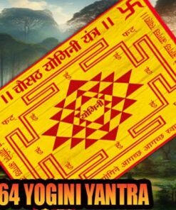 64-YOGINI-YANTRA