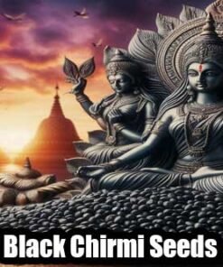 Black Chirmi Seeds: A Powerful Remedy for Enemy Protection